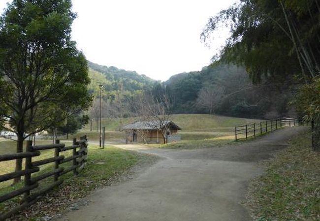 長野緑地