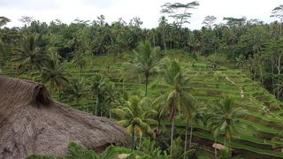 癒しの空間にあるカフェ