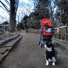 よ〜し！いっぱい歩くぞ。