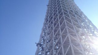 まだできたばかりで登れなかった。