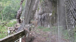 大きな崖崩れ・・・ワイルドです！！