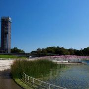 花博の会場の一つです