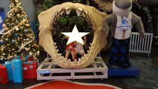 クーポンを使って