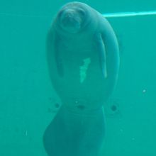 呼吸しに上がりま〜す