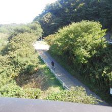 花見川大橋から見る花見川サイクリングコース