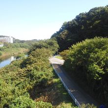 花見川大橋から見渡した花見川と花見川サイクリングコース