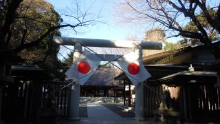 受験にも就活にも