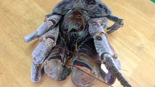 そば美味かった～