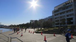 FMヨコハママラソンが行われていました