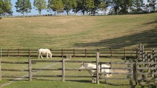 とても設備が充実した総合公園です！