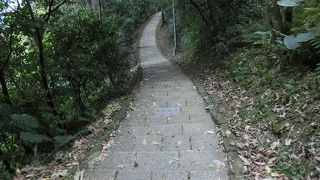 何本にも分かれてある登山道、ハイキングコースです。