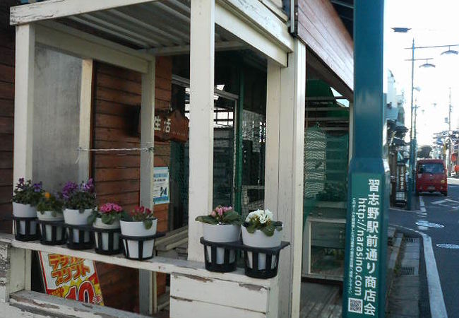 習志野駅近くの昔ながらの花屋さん