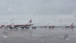 お国柄でしょうか