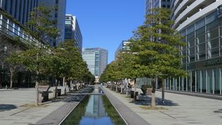 都会のオアシス