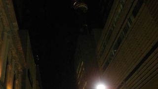 シドニーのシンボル、オペラハウスが見えない残念なタワー　　～シドニータワー～