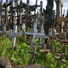 丘の周りにも広がっている