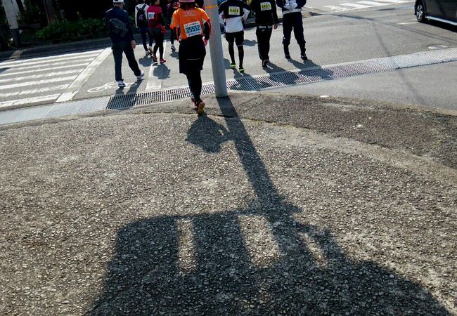 第41回いぶすき菜の花マラソン大会