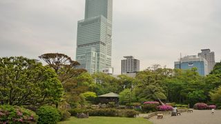 展望台が大人気！