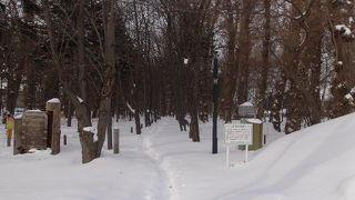 冬は歩きにくかったです