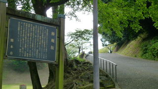 芝生の広い公園で開放的です