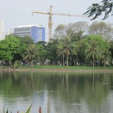緑が多い大きな池のある公園です