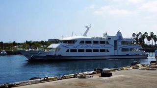 三島～初島 車と船の旅