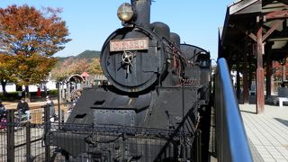 小松島といえばタヌキ