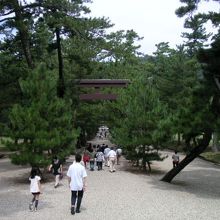 参道を静々と進みます