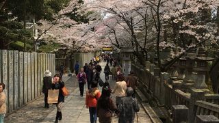 また行きたくなりました。