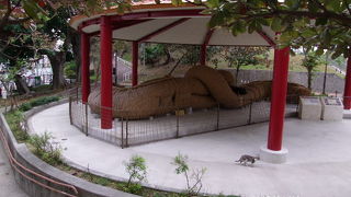 大綱のオブジェがみごと