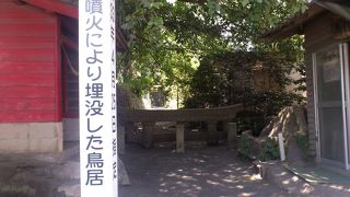 思ったより小さい鳥居