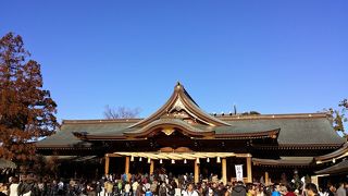 1500年の歴史相模国一之宮である寒川神社にて初詣とご祈祷