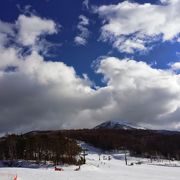 標高が高く、晴天率が高い良質な雪質のスキー場