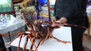 イル カプリッチョ