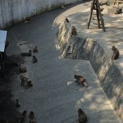 小さな動物園