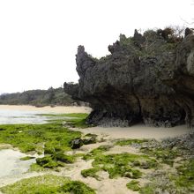 右に行くと「カミツキガメ」の様な奇岩が在りました！