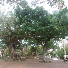 精霊宿るパワースポットとしてもお勧めできる場所かも？