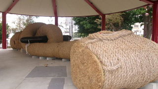 大繩も素晴らしいですが・・・