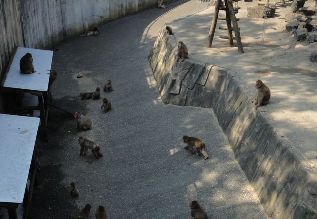 小さな動物園