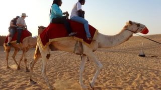 せっかくドバイに行くなら是非！