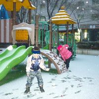 目の前に公園。ブランコもあります。