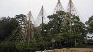 金沢といえばここ