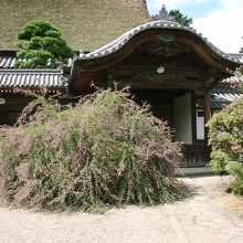 萩原寺宝物館