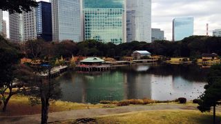 落ち着いた庭園