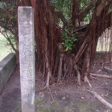 お堂の隣には石碑とスピリチュアルな樹木も植えられています