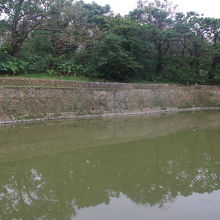 弁財天堂から見た池の様子