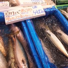 物産館ことうら 