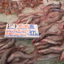 物産館ことうら 