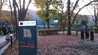 緑と調和した美術館