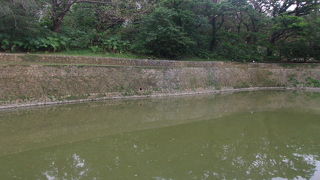 鳥さんが沢山います